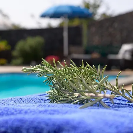Vista Lobos Entre Volcanes Y Oceano * Playa Blanca (Lanzarote)